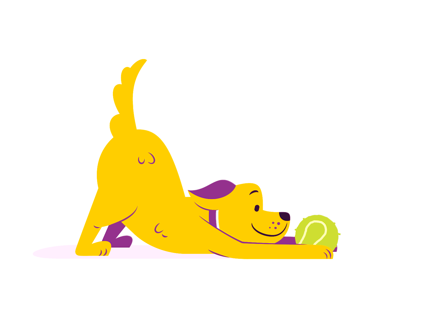 dog.com.vn-official